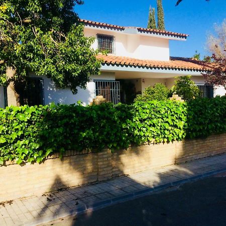 Villa Ferrer Sevilla Gines ภายนอก รูปภาพ