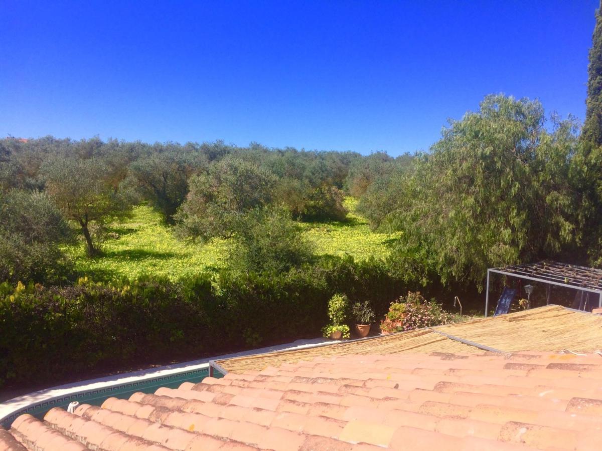 Villa Ferrer Sevilla Gines ภายนอก รูปภาพ