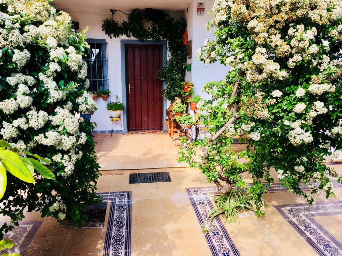 Villa Ferrer Sevilla Gines ภายนอก รูปภาพ